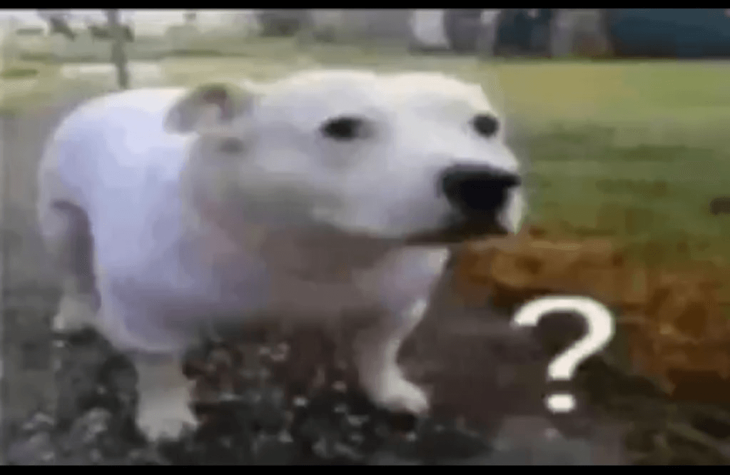 Question Mark Dog