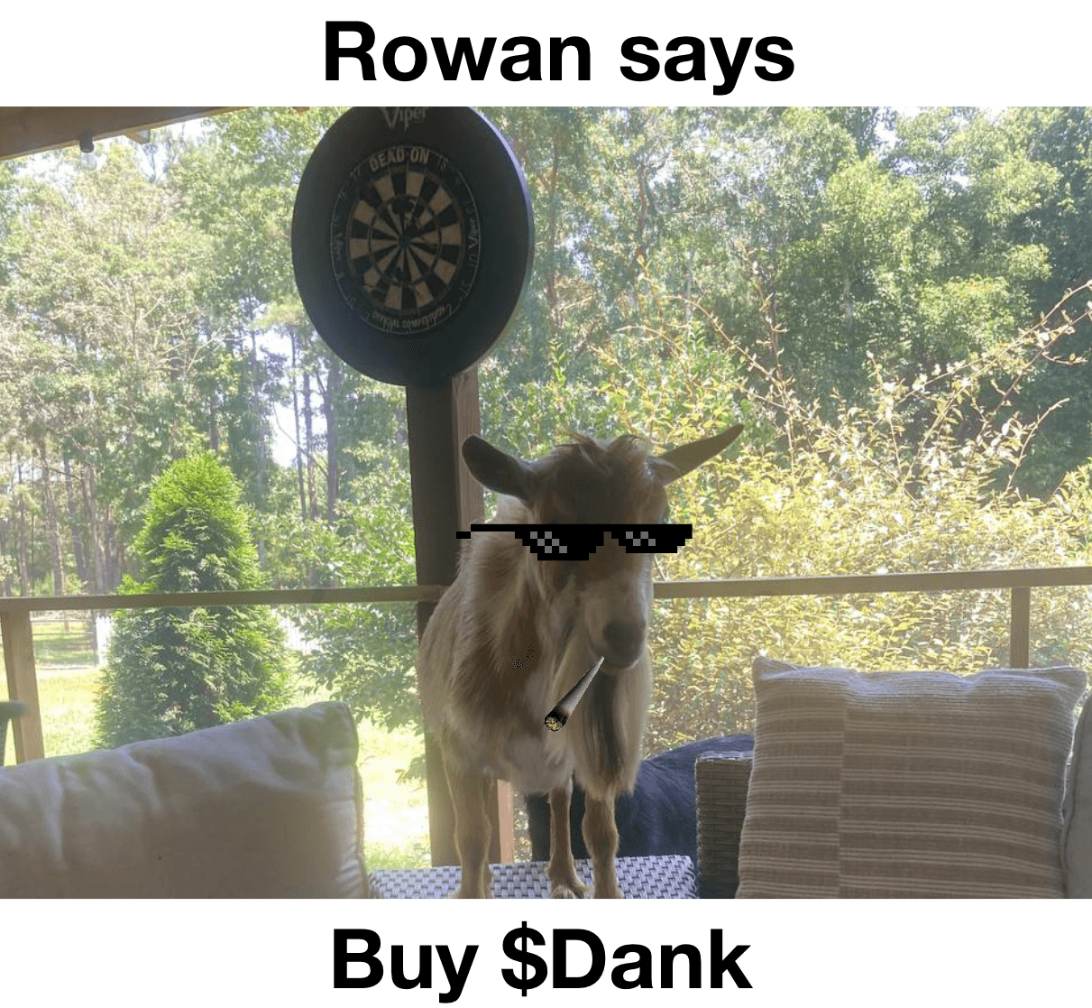 Dank Rowan