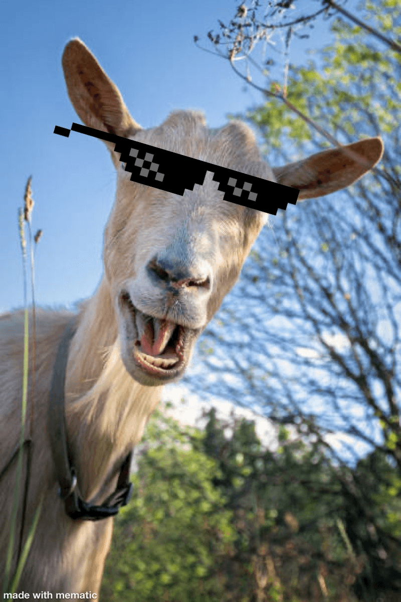 Dank goat