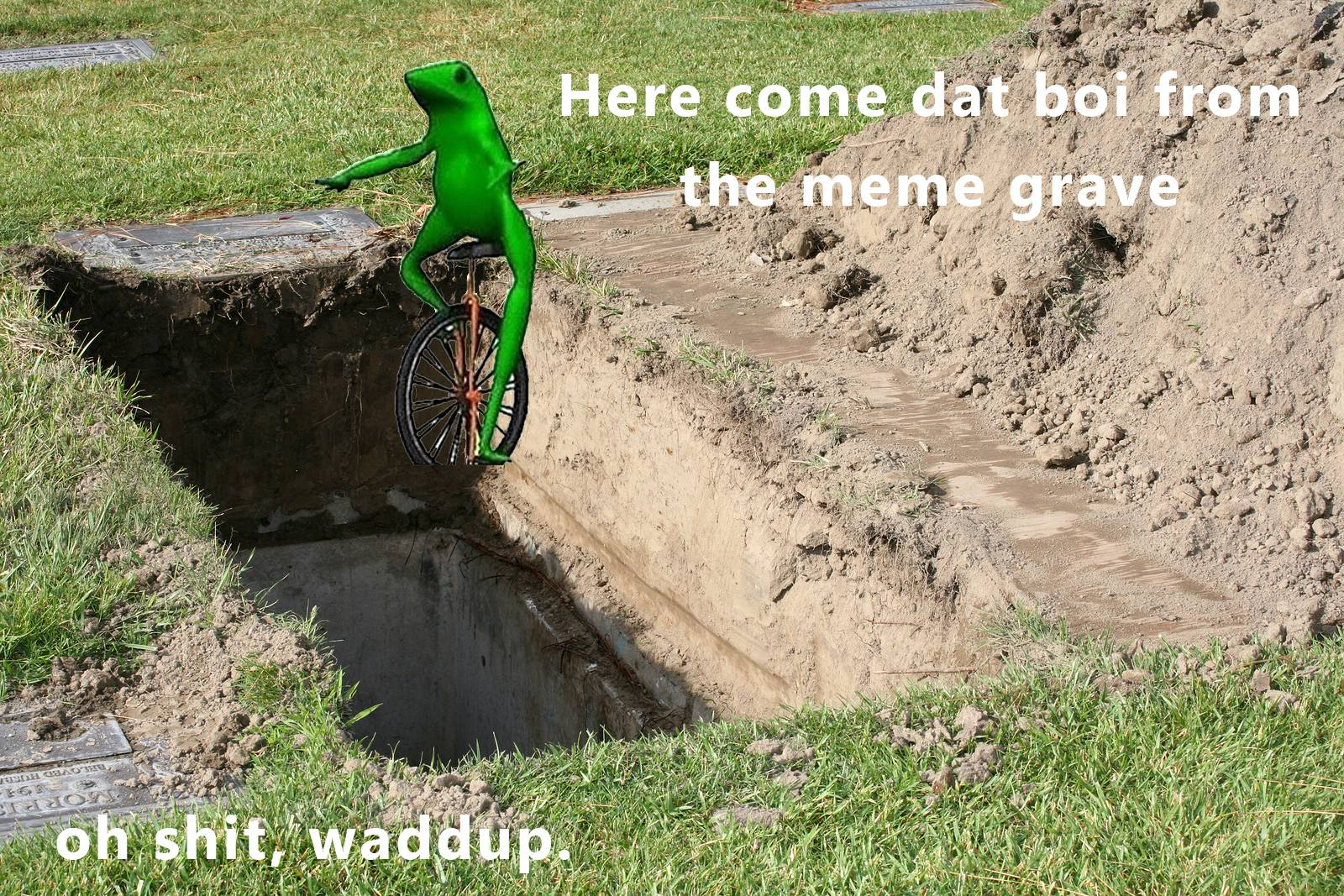 Here come dat boi from the meme grave