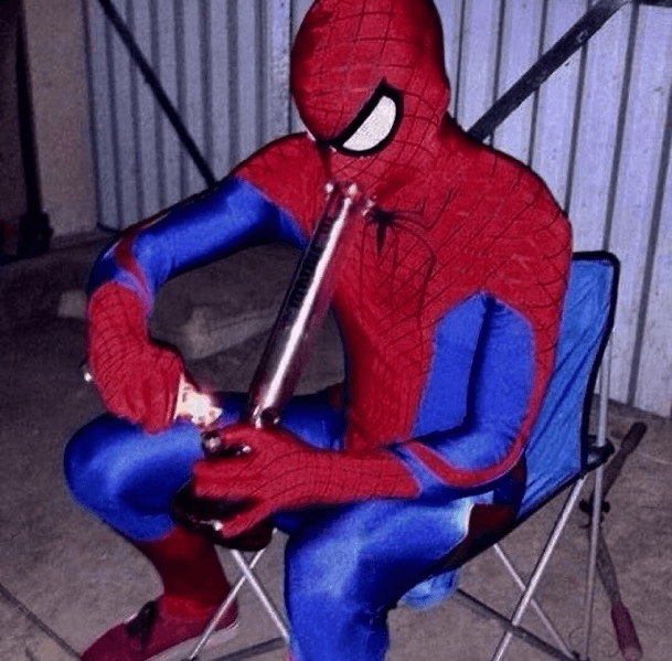 Dank Spider-Man