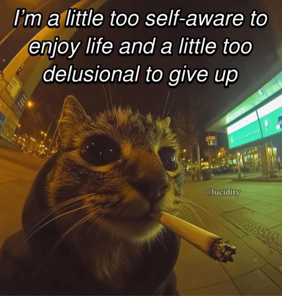 Smoking cat