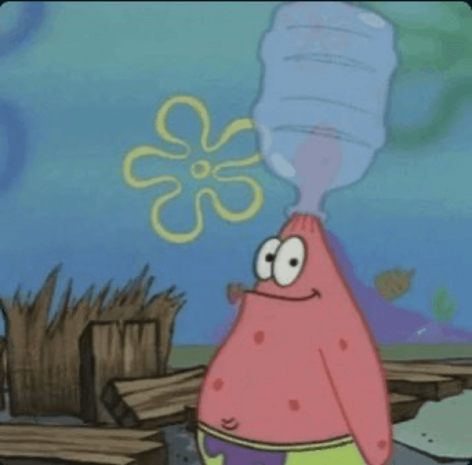 Patrick water bottle hat