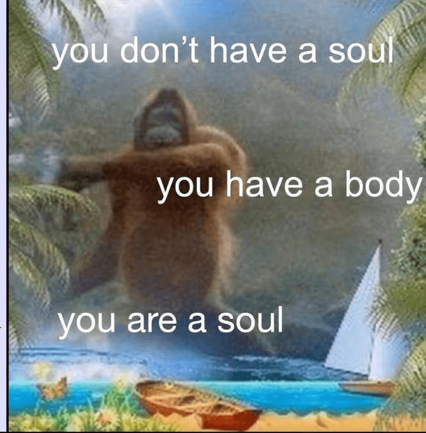 you are a soul
