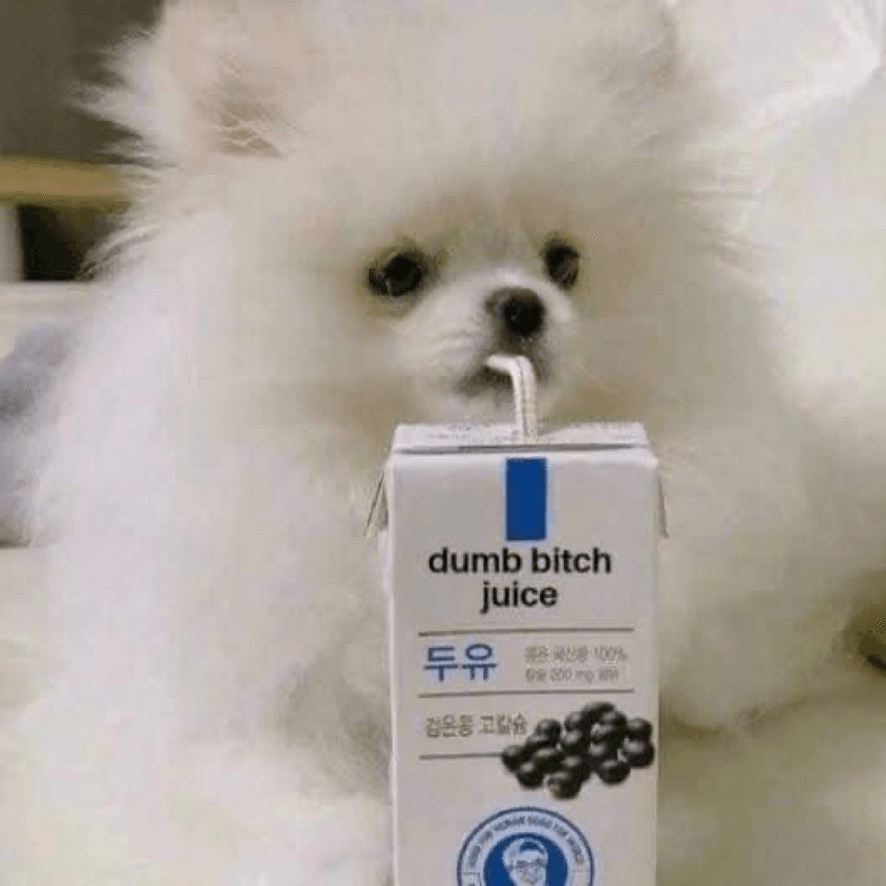 Dumb bitch juice