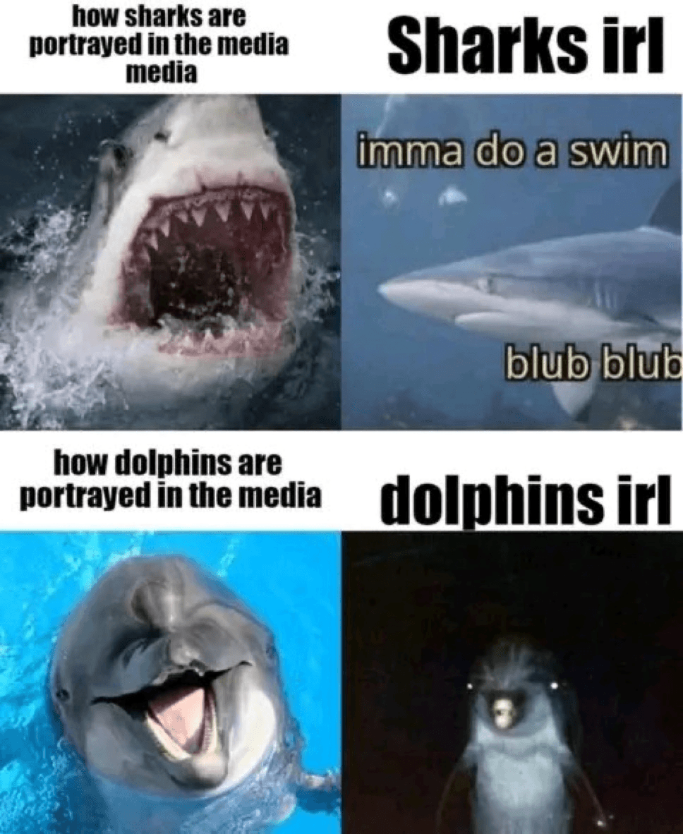 Sharks vs Dolphins