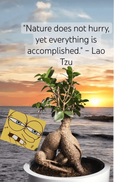 Nature does not hurry