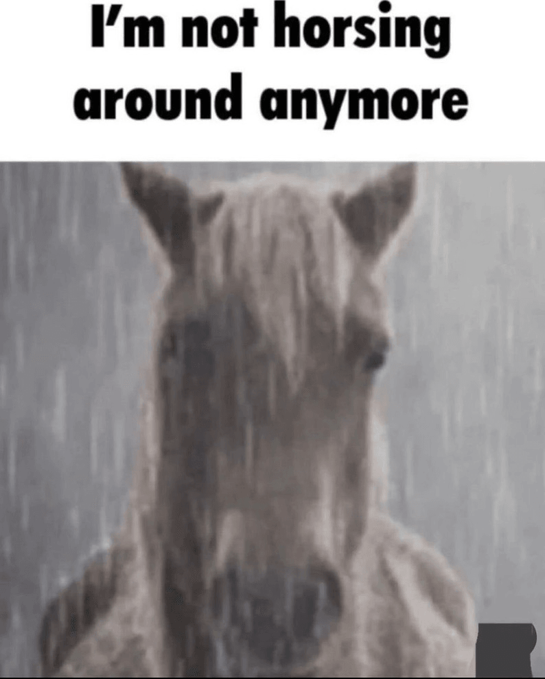 Not horsing around