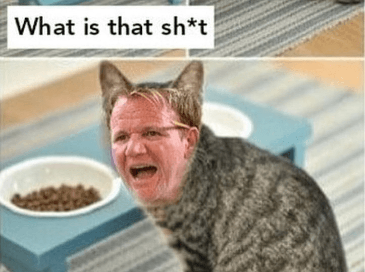 What is that shit