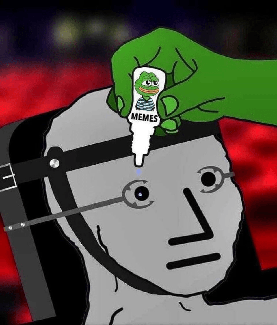Meme brainwashing