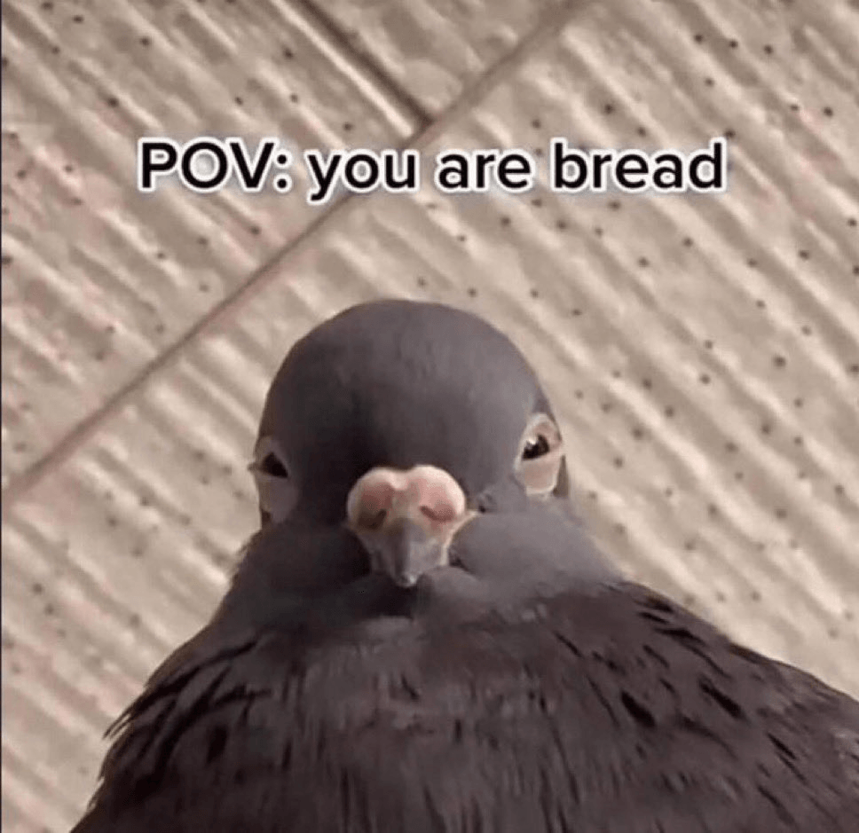 you are bread