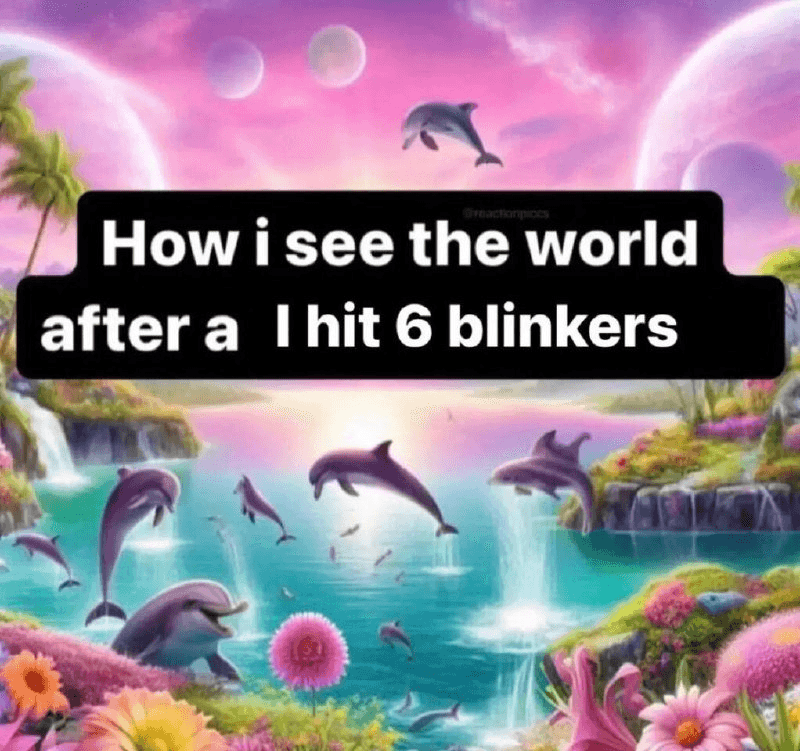 six blinkers