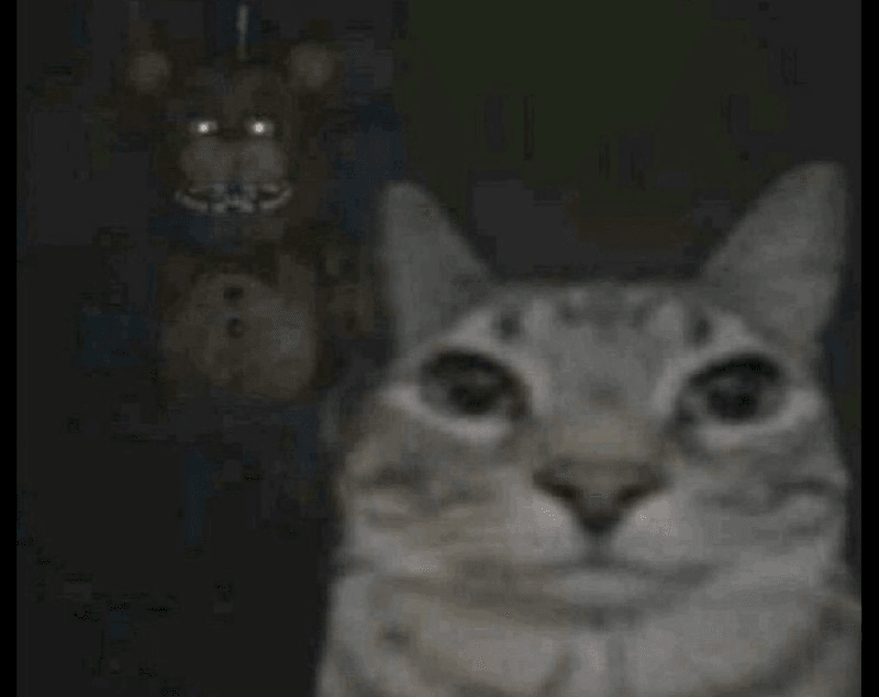 fnaf cat