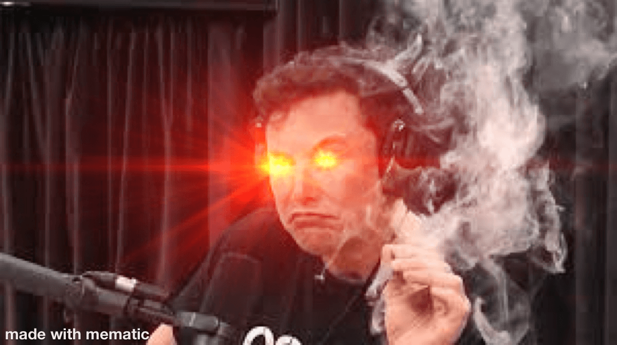 Dank Elon 